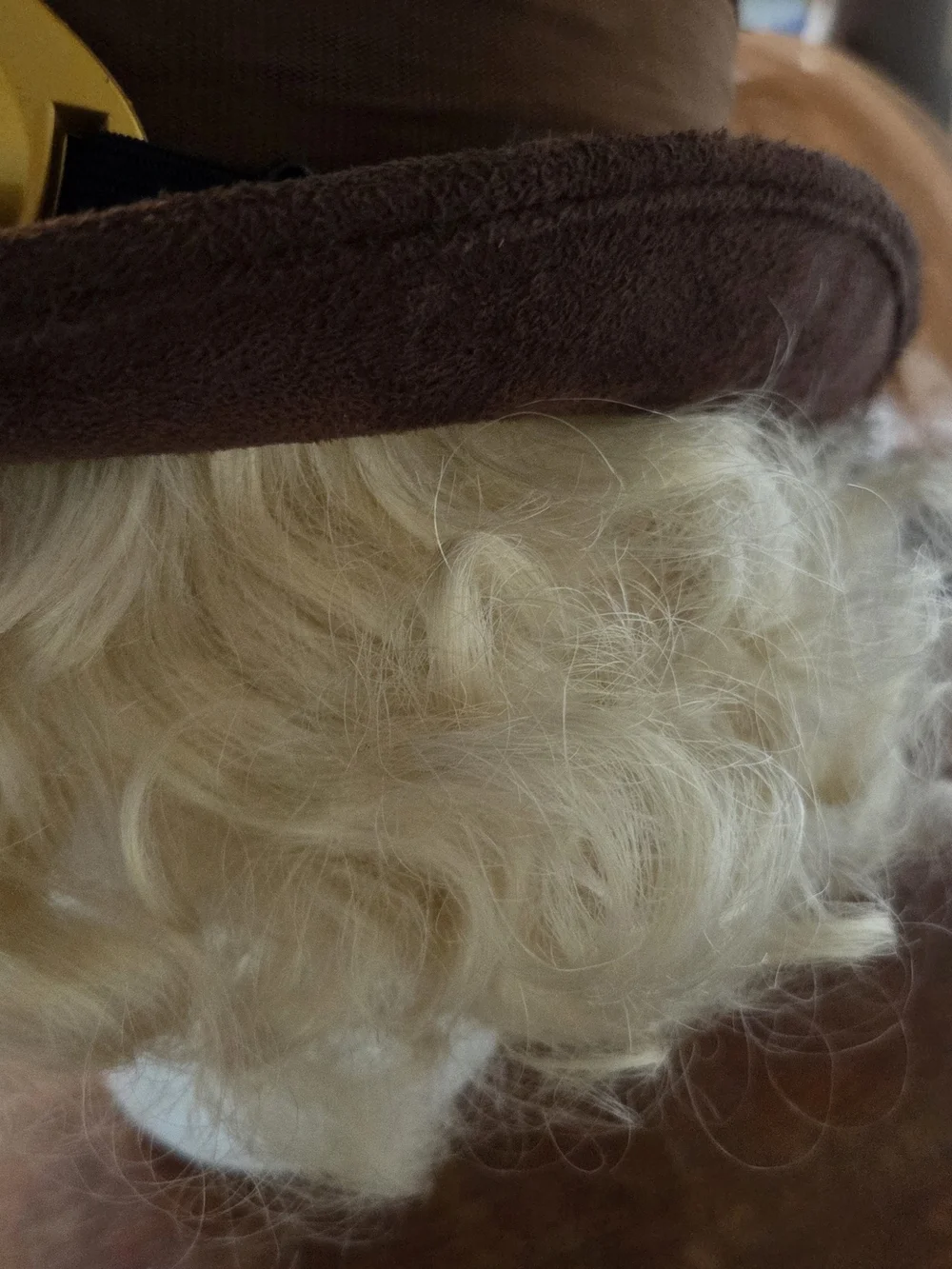 CURATED STYLE- Blonde 20s Style Curly Wig PLUS Brown Steampunk Hat